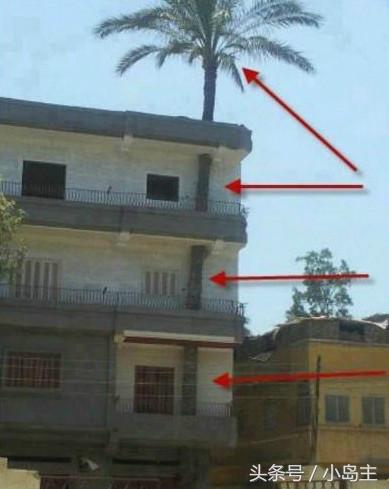 保证让你笑到肚子疼的视频,保证让你笑到死的视频