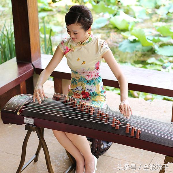 古筝入门曲谱成人,弹古筝用曲谱中的固定指法吗