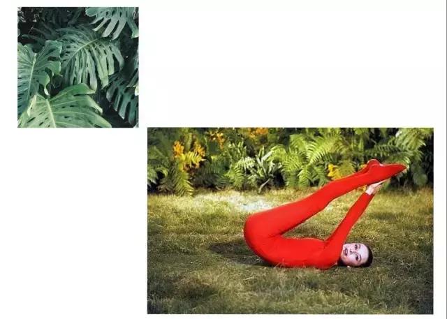 奥黛丽赫本的时代以什么为美,奥黛丽赫本优雅永不过时视频