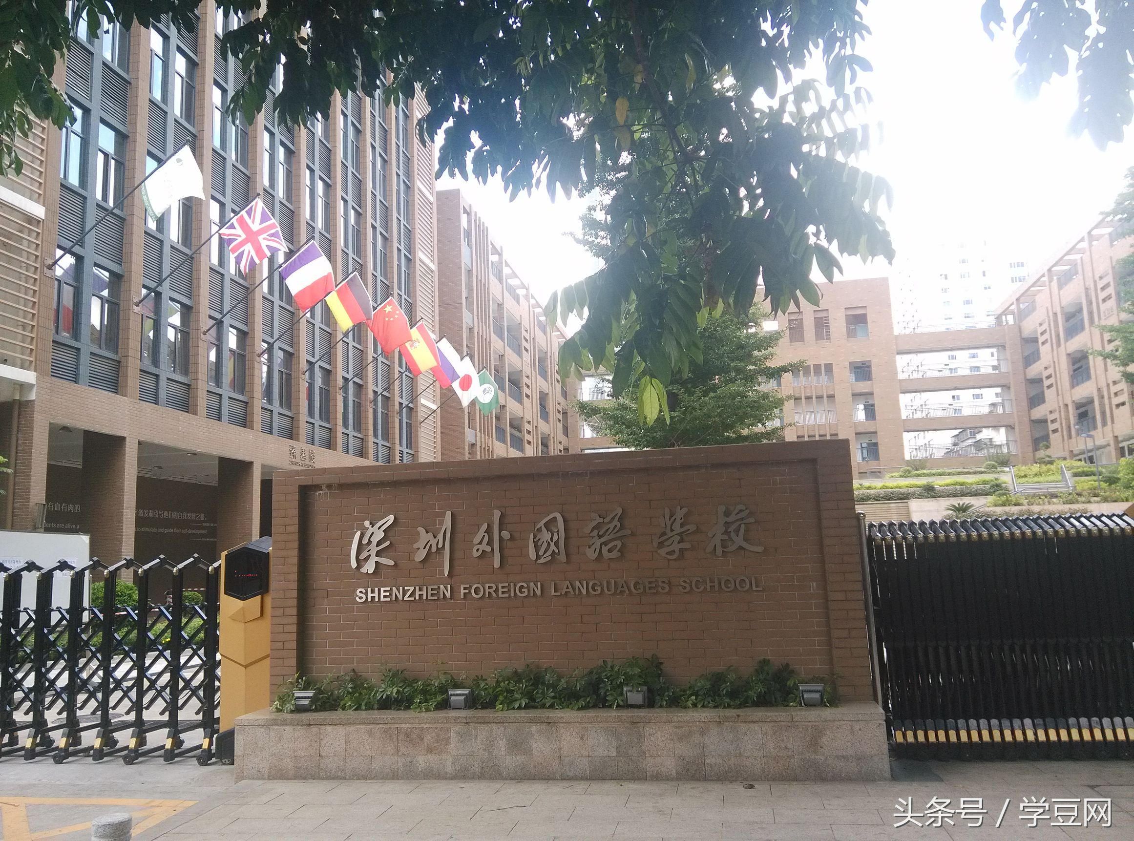 深圳市福田区初中升学率排名,深圳市福田区初中排名一览表