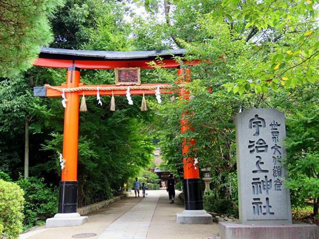 去日本旅游一次需要多少钱,去日本旅游需要准备什么