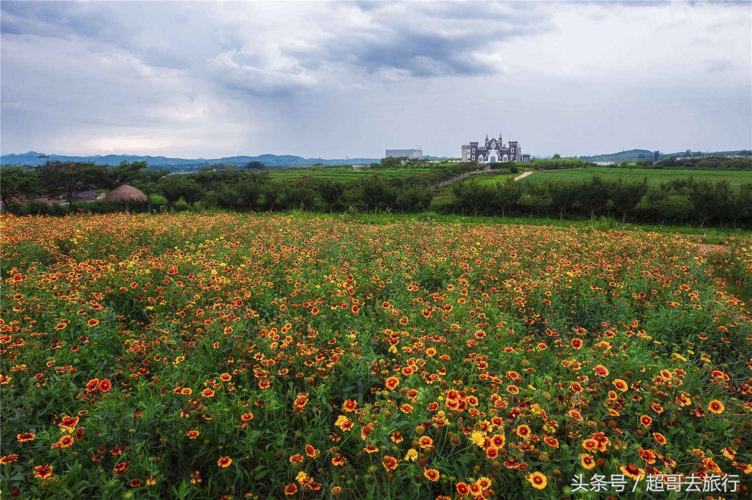 日照花仙子风景区团购,日照花仙子风景区为什么拆了