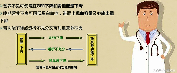 肾功能不全代偿期、失代偿期患者营养治疗方案制定参考
