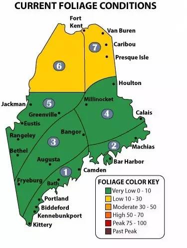 枫叶旅游拍照技巧,春季赏枫叶拍照技巧