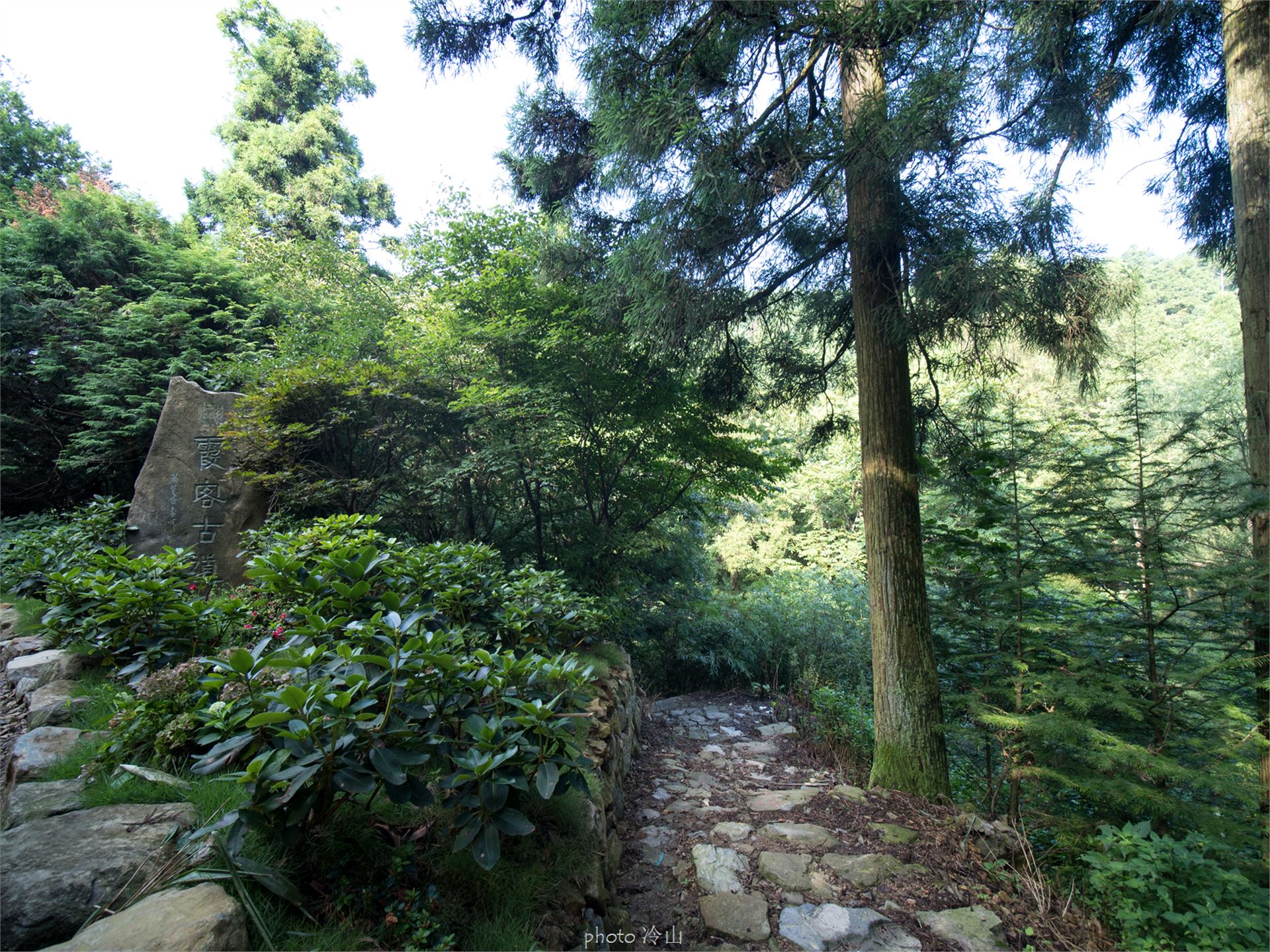 华顶千年杜鹃林,天台山石梁瀑布华顶杜鹃
