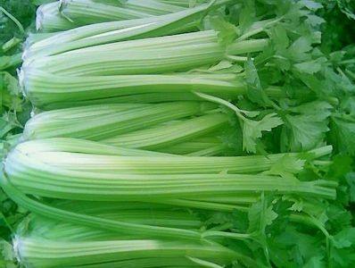 胃一饿就疼是胃炎还是胃溃疡,一饿胃就疼吃点东西就会缓解