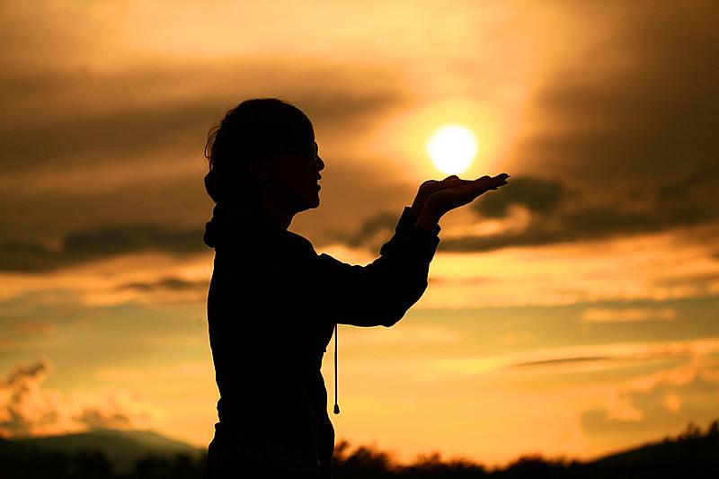 二哈最近的生活,二哈的那些事