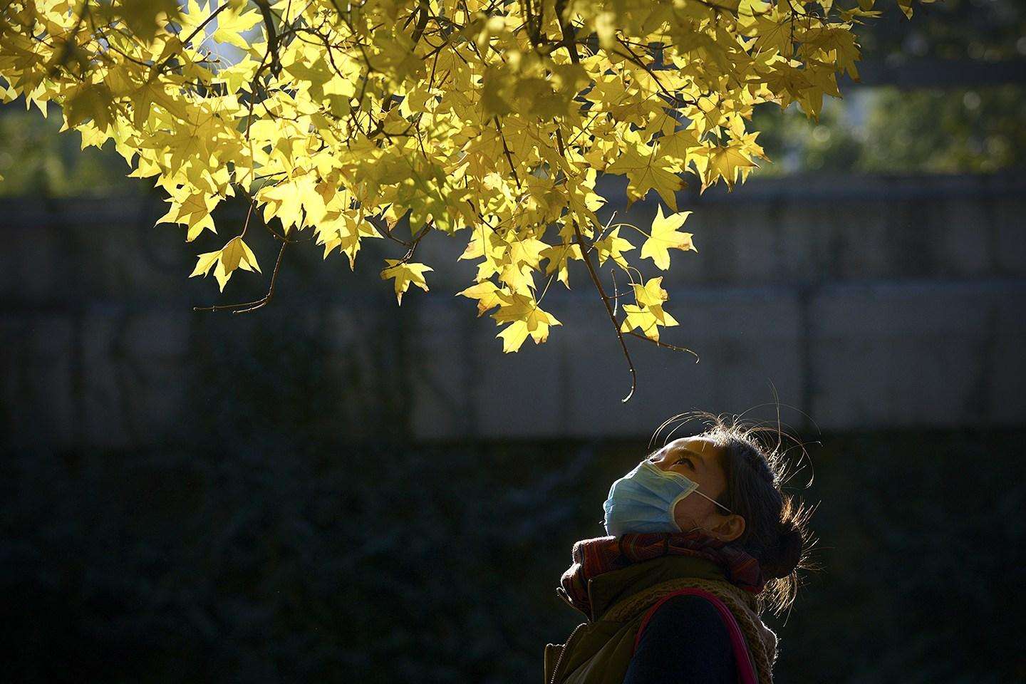 处暑节气的最佳调理方法,处暑养生防寒知识