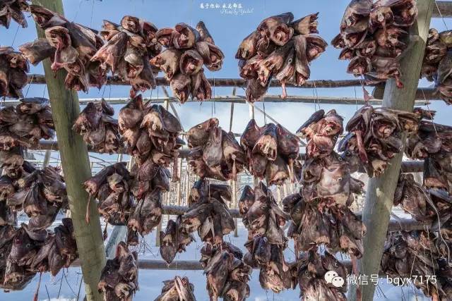 梦幻天堂挪威十四天自驾大穿越,挪威小环线自驾游