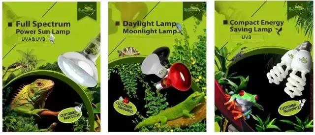 亚宠展第二弹的宠物,亚宠展有爬宠吗