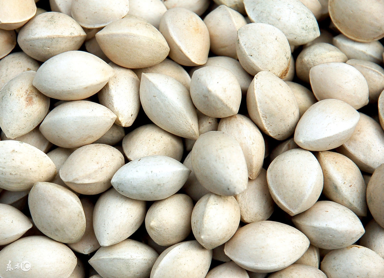 女性美容特效草药,有美容效果的中草药名单