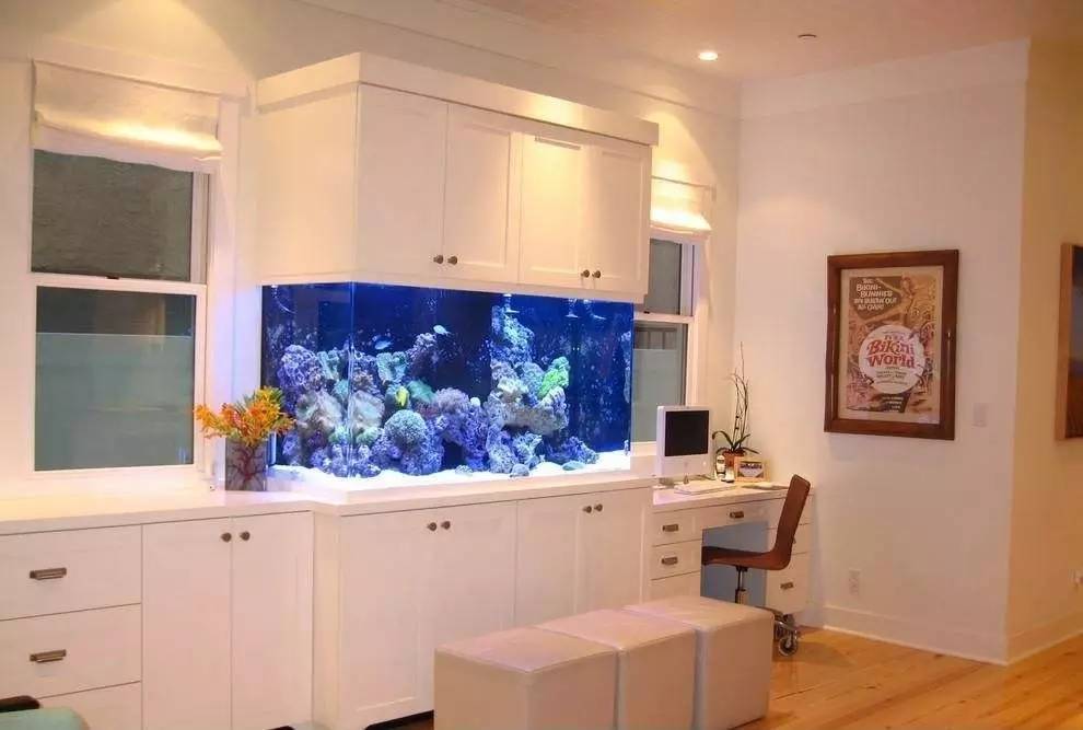 家里摆鱼缸数量有什么讲究,属马属蛇的家里怎么摆鱼缸