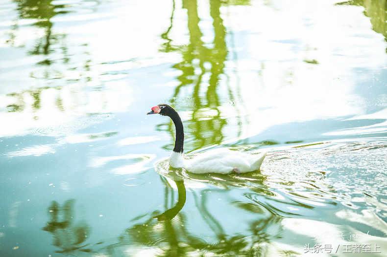 越南最美山庄,越南最美的桃源