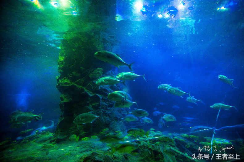 越南最美山庄,越南最美的桃源