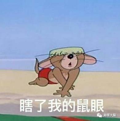 风很大其实不好用的产品,风大但是不好用的产品