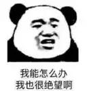 steam退出了单机游戏还能玩么,steam不更新的单机游戏可以玩吗