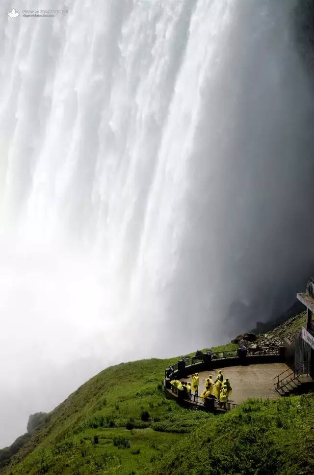 枫叶旅游拍照技巧,春季赏枫叶拍照技巧