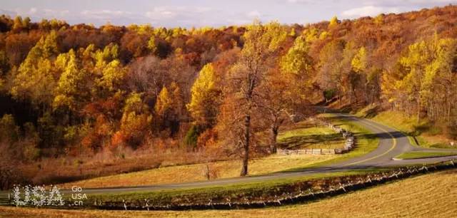 枫叶旅游拍照技巧,春季赏枫叶拍照技巧