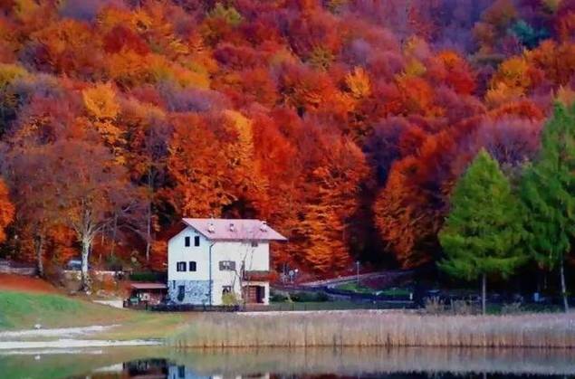 枫叶旅游拍照技巧,春季赏枫叶拍照技巧