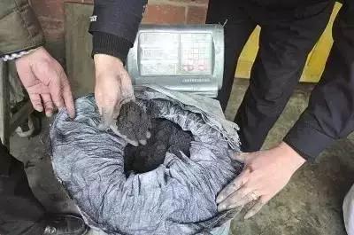 检察官提醒：开山采石、不还钱、代购这些小事都可能“出大事”！