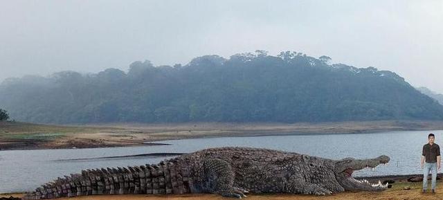 史前公园暴龙和恐鳄,史前恐鳄大战霸王龙