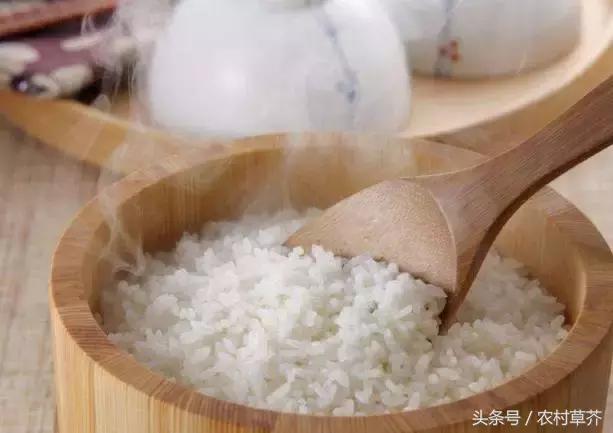 农村致富有这4个项目就足够了,农村17个致富项目你知道几个