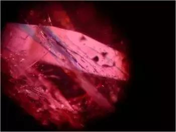 中国游客在柬埔寨被坑4.6万，竟买了充填红宝！