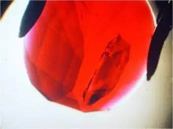 中国游客在柬埔寨被坑4.6万，竟买了充填红宝！