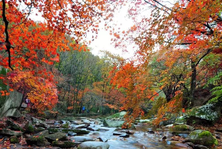 九月辽宁旅游最佳推荐,辽宁赏秋自驾游攻略