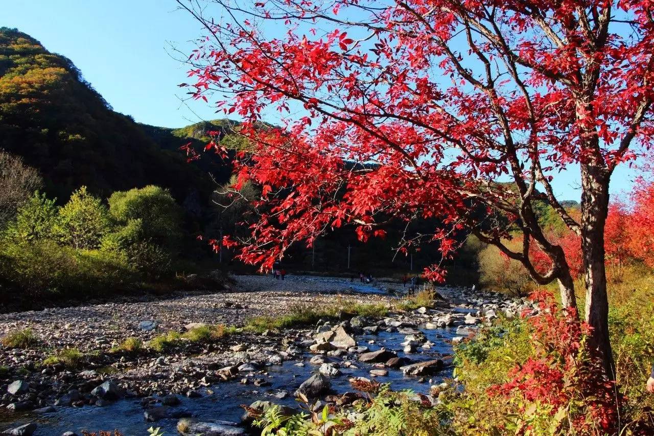 九月辽宁旅游最佳推荐,辽宁赏秋自驾游攻略