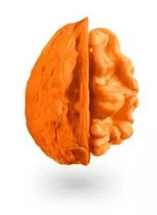 老杨开窍丨这是一家专门给硬汉准备的礼物网站