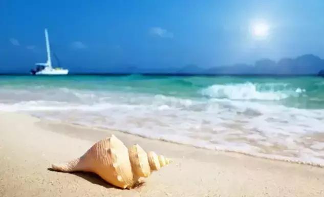 龙岩亲子游十大好去处,离龙岩市最近海边旅游推荐