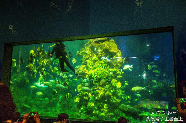 越南最美山庄,越南最美的桃源