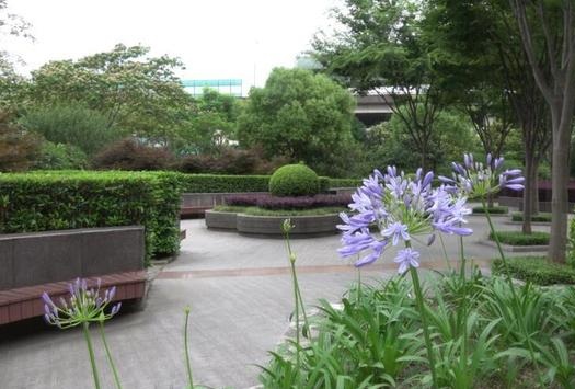 索尼摄像机4k高清数码家用,索尼4k电影摄像机最新