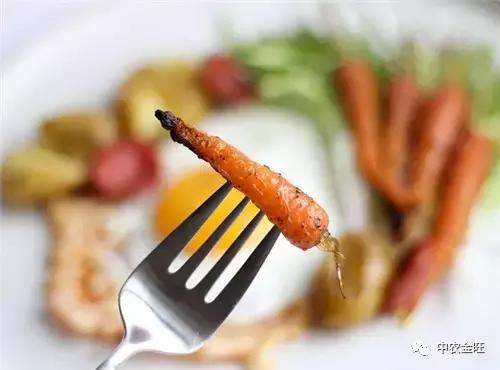 迷你农业怎么做,网红迷你农业怎么玩