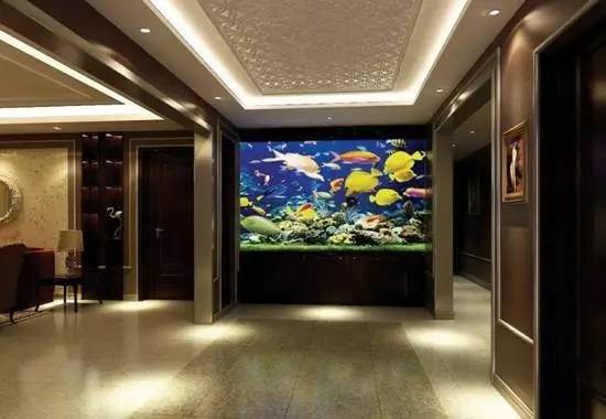 家里摆鱼缸数量有什么讲究,属马属蛇的家里怎么摆鱼缸