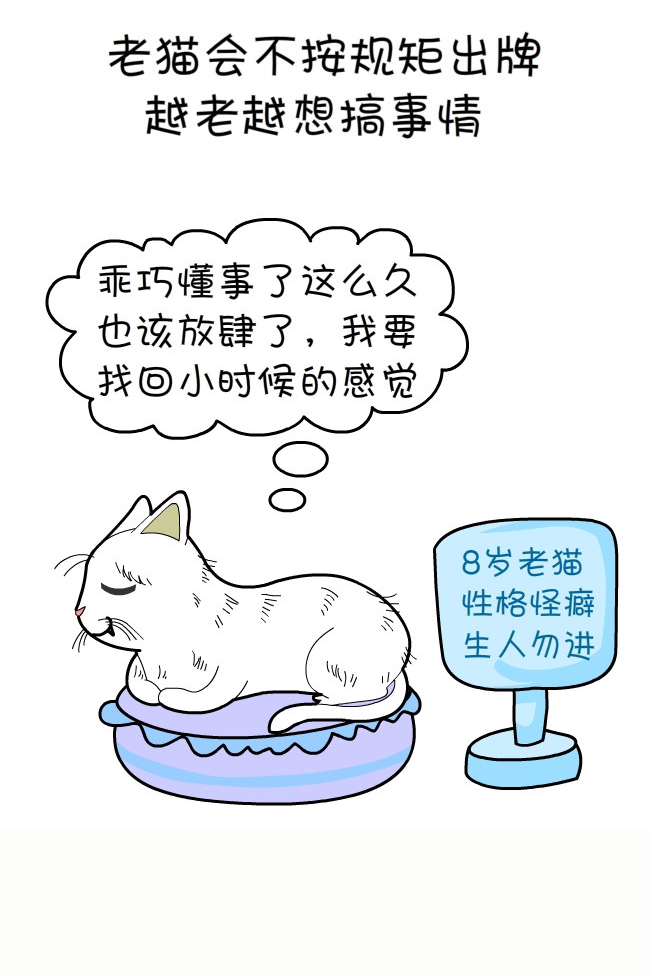 猫咪和铲屎官的幸福生活漫画,猫狗铲屎官漫画
