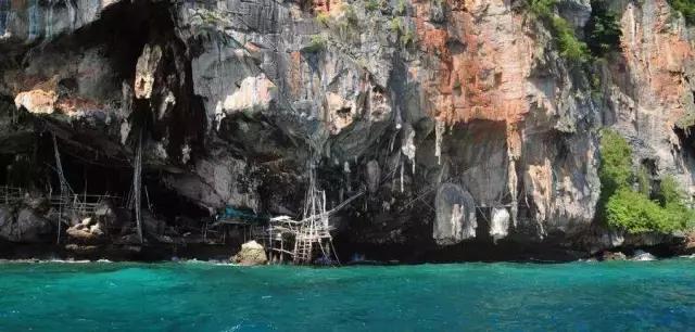 37年、两代人，她把燕窝产品做到全网前三甲，明星胡静从产品粉