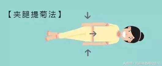 龙爪菊治痔疮正确用法,菊花好处和做法有哪些