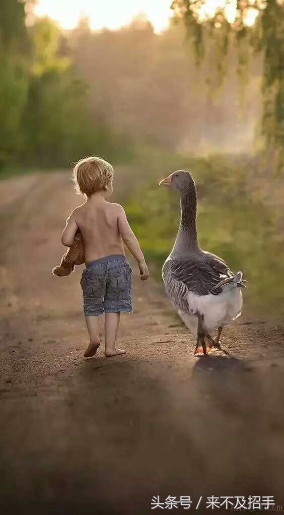 姐姐怀了老公的孩子，孩子出生后，我做了一件她们意想不到的事