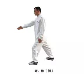 裁判带球走步手势,裁判手势详解视频教程