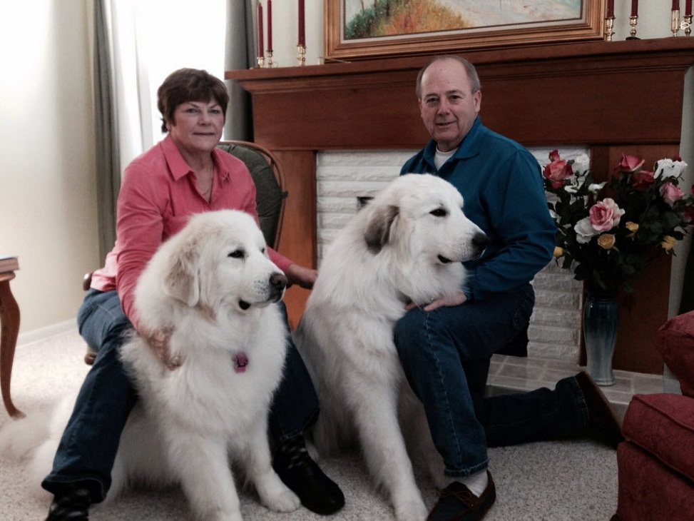 犬中的巨无霸世界著名的犬种,世界上体型最小的犬种排名