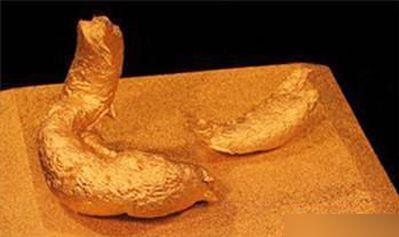 史上十大最恶心的食物,十种致命奇葩食物