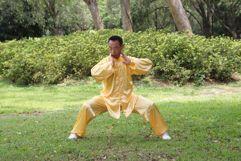 怎么提升你的武术能力,怎样提高太极内功技术