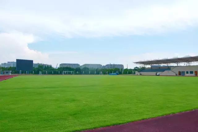 最近杭州发生的大事件,杭州今年有什么大事件