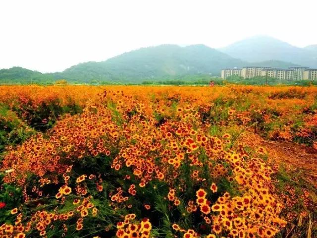 宁波浪漫的约会地点,宁波求婚地方推荐