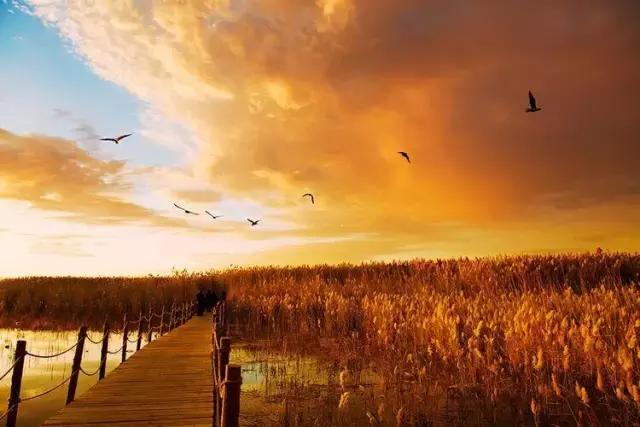 三千年的情缘，三千年的企盼只为这一季的金秋（附攻略）