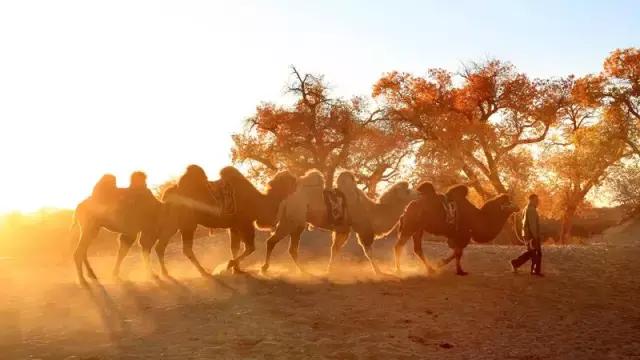 三千年的情缘，三千年的企盼只为这一季的金秋（附攻略）