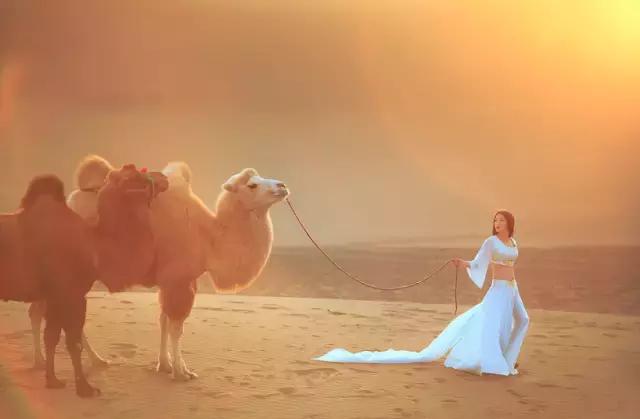 三千年的情缘，三千年的企盼只为这一季的金秋（附攻略）