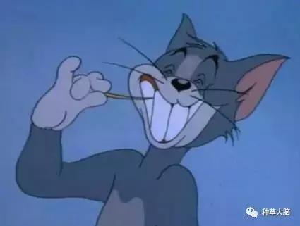 风很大其实不好用的产品,风大但是不好用的产品